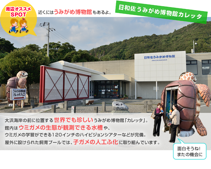 ���a�� ���݂��ߔ����فu�J���b�^�v