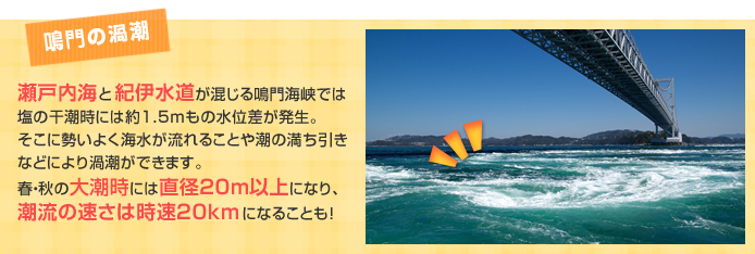 ��勴�V���� �Q�̓�