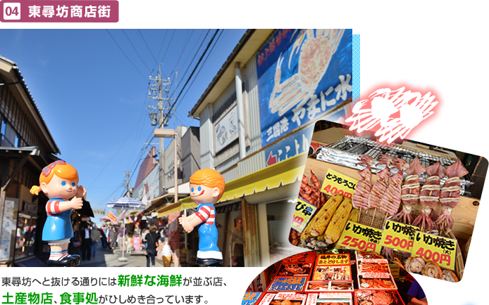 ���q�V���X�X