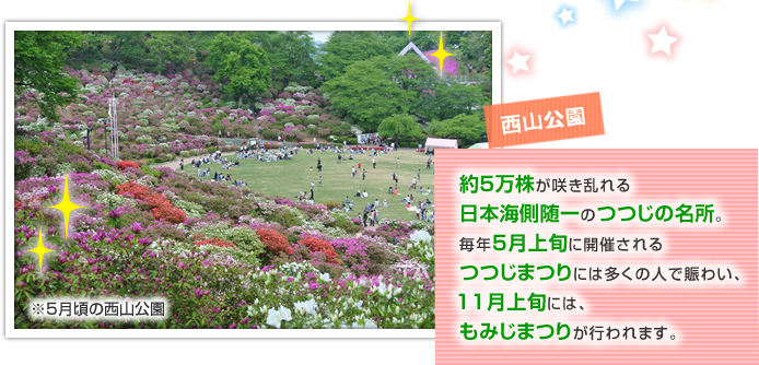 ���̖���