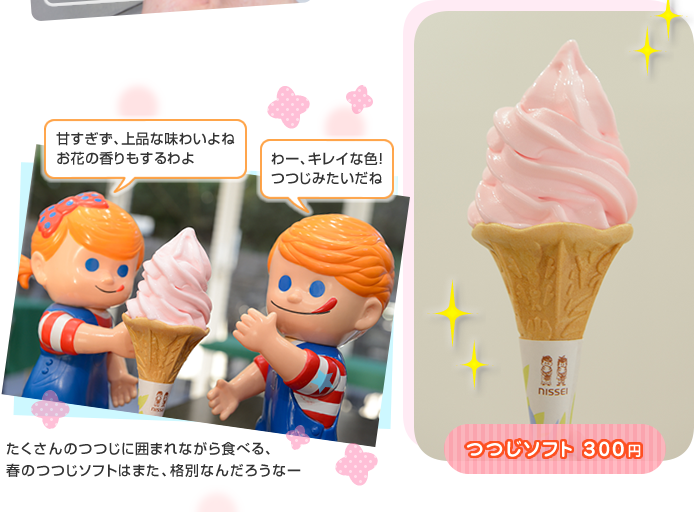 ���\�t�g 300�~