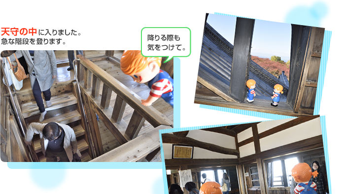 �V��̒�,�K�i