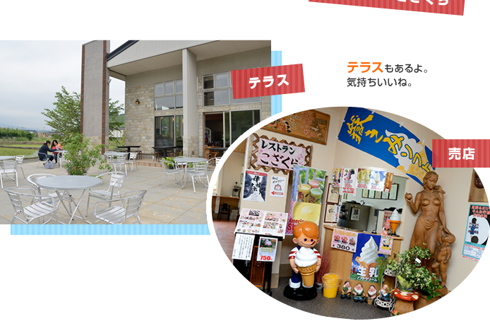 �e���X ���X