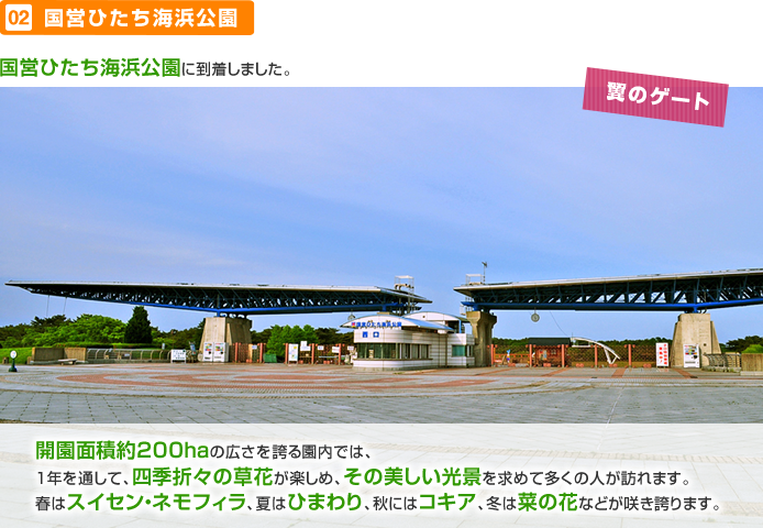 ���c�Ђ����C�l���� ���̃Q�[�g