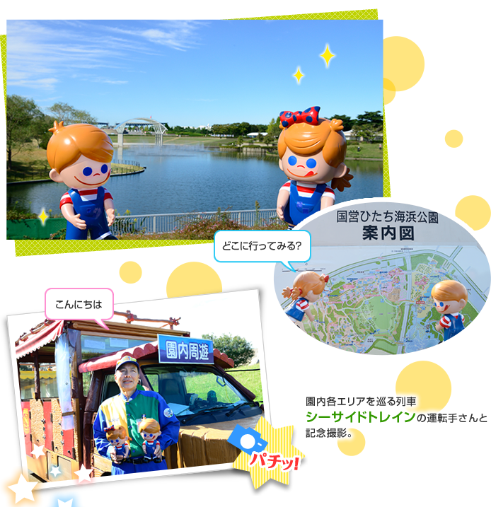 �V�[�T�C�h�g���C���̉^�]�肳���