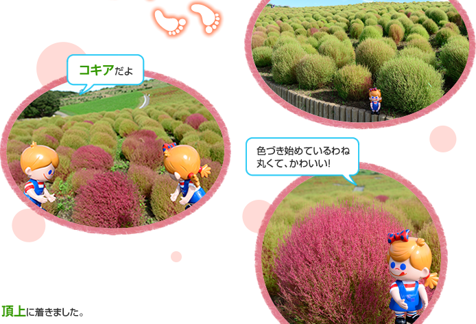 ����ɒ����܂����B	