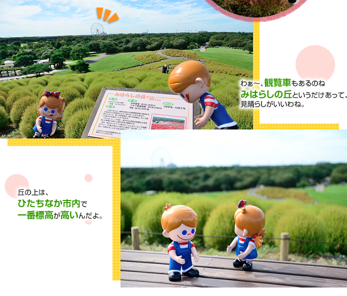 �킟�`�A�ϗ��Ԃ�����̂�