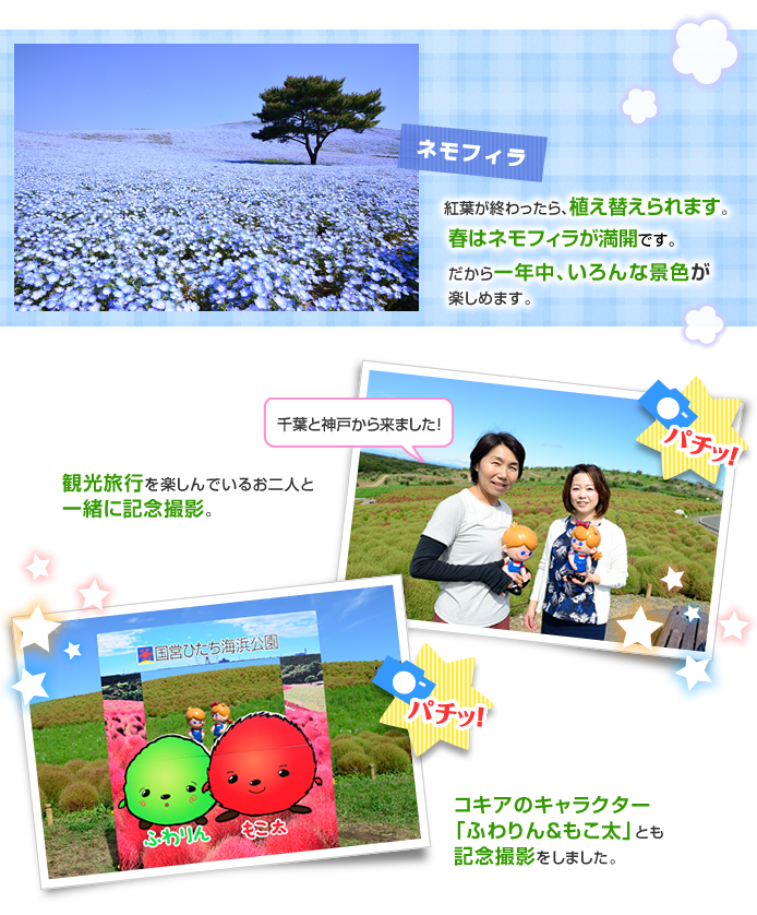 �l���t�B��