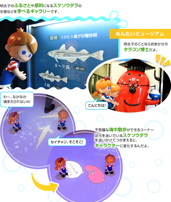 �߂񂽂��~���[�W�A��