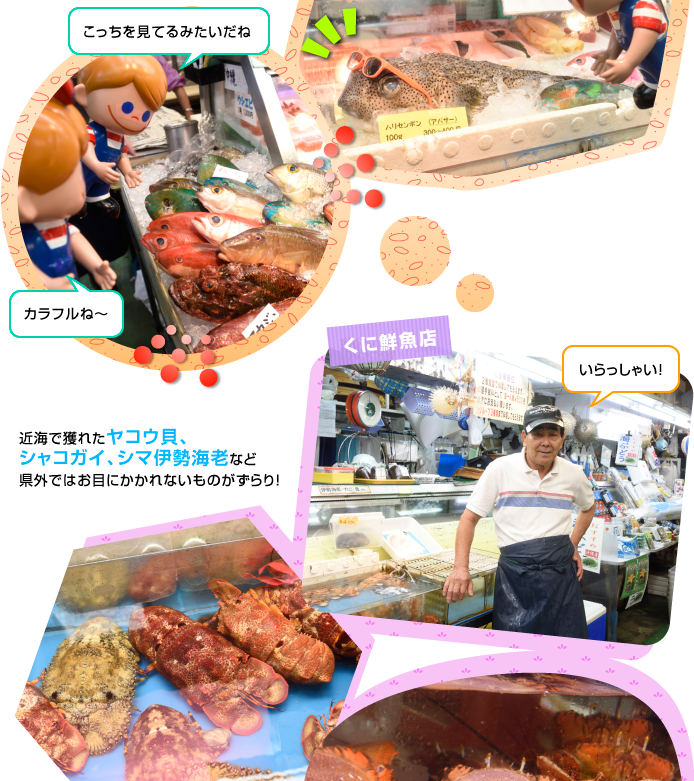 ���q�u���ݎs��