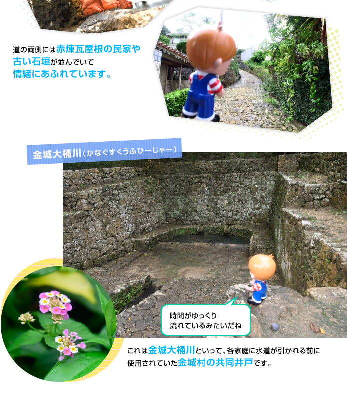 �񗢋���Ώ���