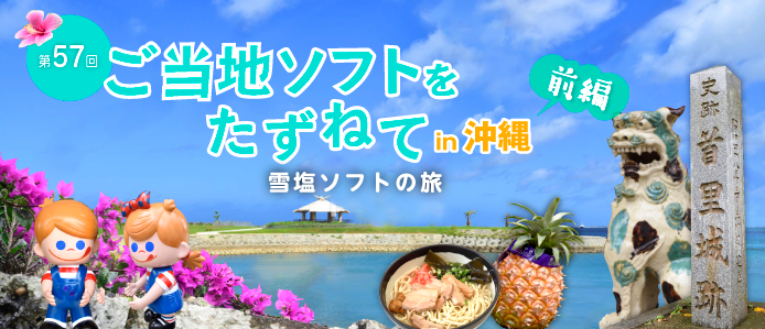 ��57�� �����n�\�t�g�������˂� ����� �O�� �`�ቖ�\�t�g�̗��`