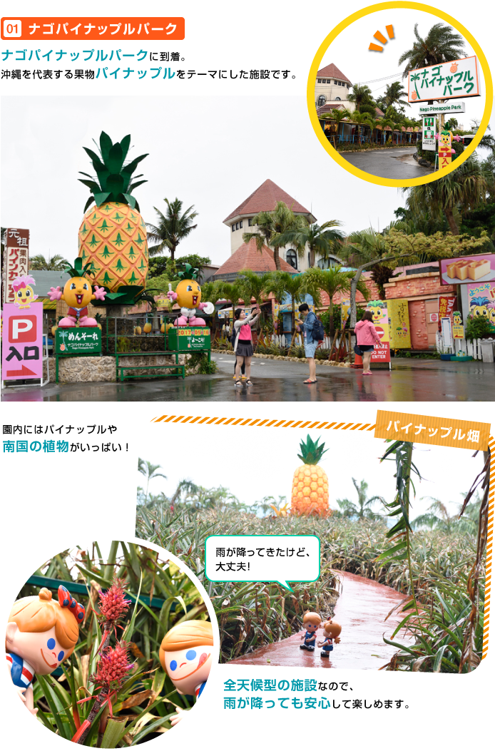 �i�S�p�C�i�b�v���p�[�N