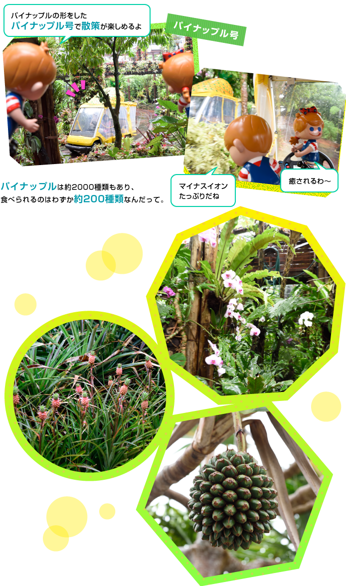 �i�S�p�C�i�b�v���p�[�N