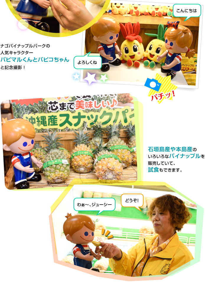 �i�S�p�C�i�b�v���p�[�N