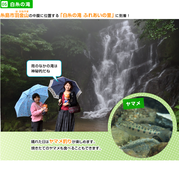 �����̑�